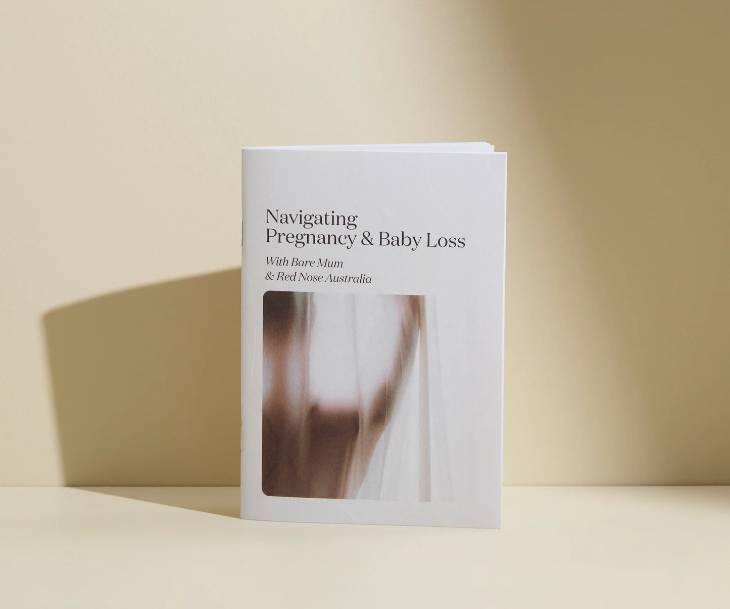 Pregnancy & Baby Loss Support Booklet