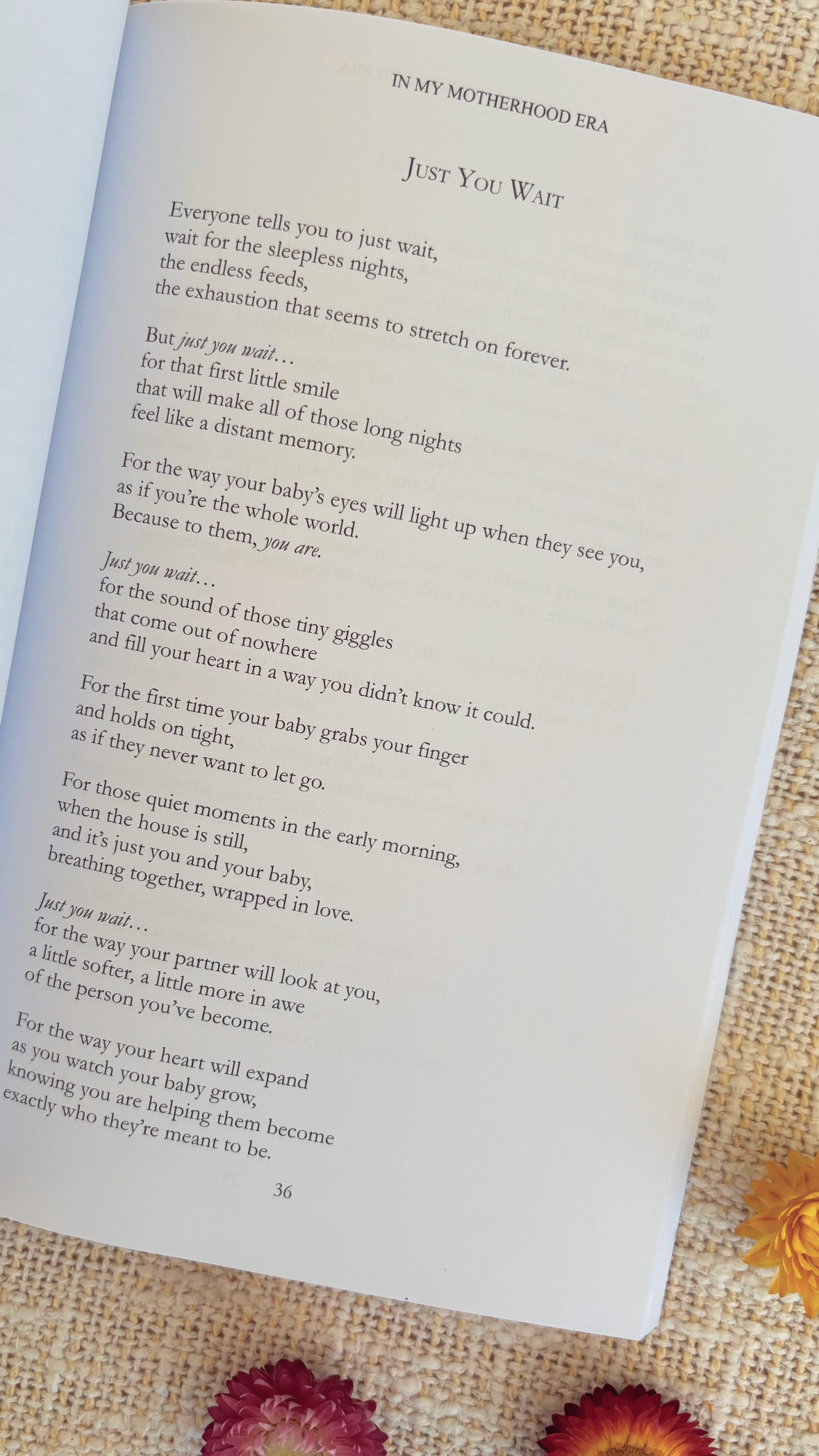 In My Motherhood Era Book